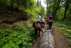 Прогулка на лошадях